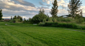 Picture of Spring in a Bozeman park