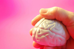 image of brain in hand